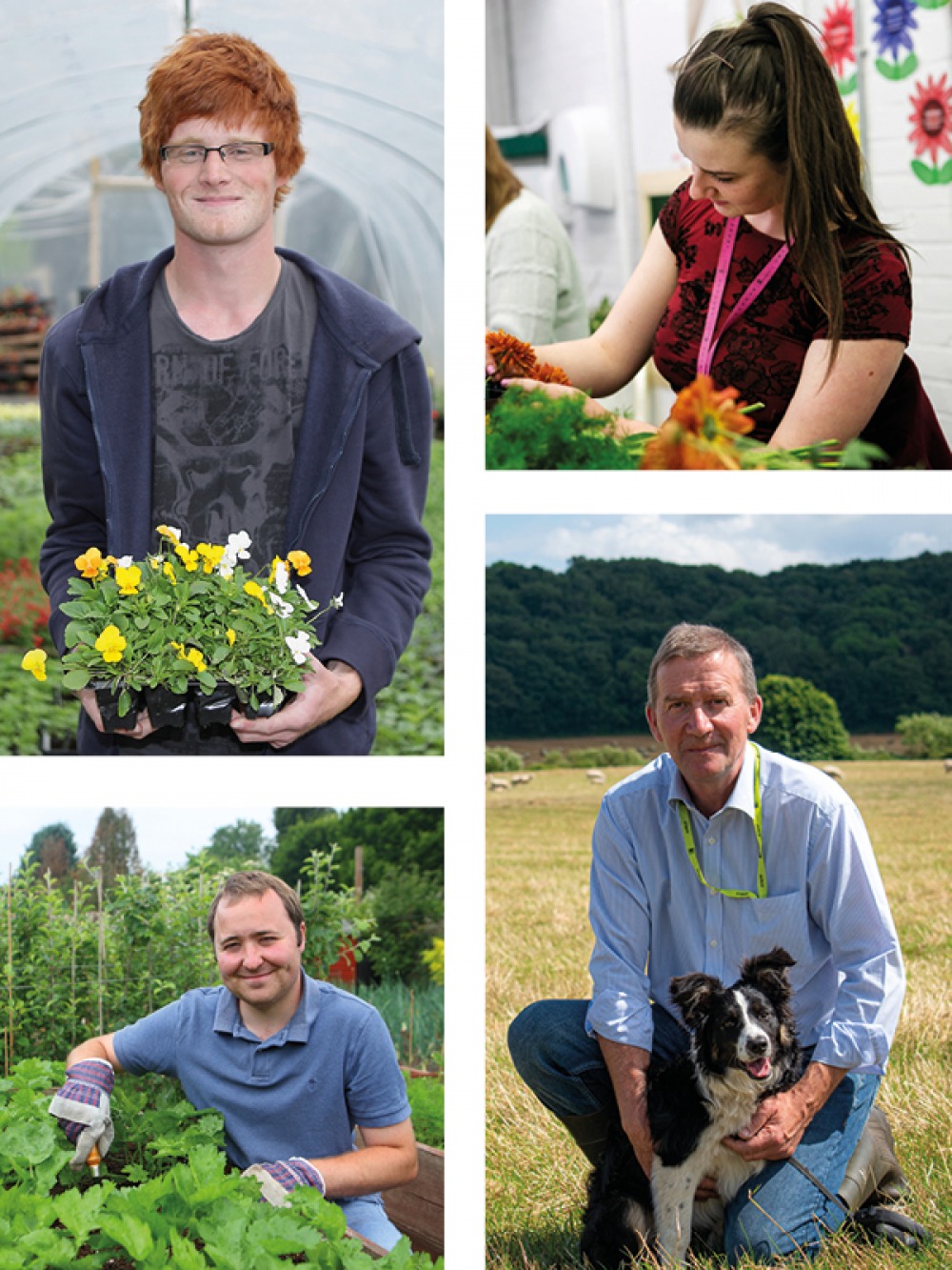 The Benefits of a Career in Horticulture Living North